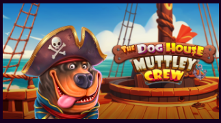 더 도그 하우스 - 머틀리 크루
