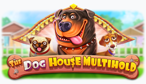 더 도그 하우스 멀티홀드