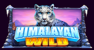 울프 골드 얼티메이트