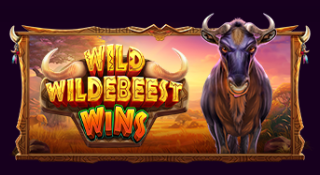 와일드 윌더비스트 윈즈