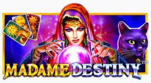 마담 데스티니