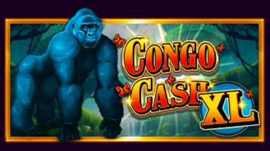 콩고 캐시 XL
