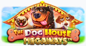 더 도그하우스 메가웨이즈