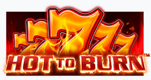 핫 투 번