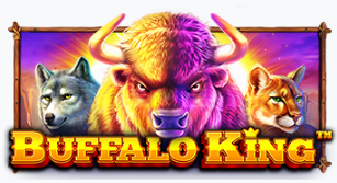 버팔로 킹
