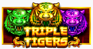 트리플 타이거스