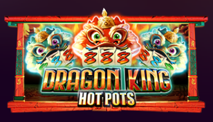 드래곤 킹 핫 포트