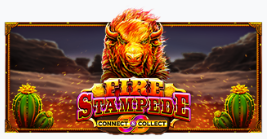 파이어 스탬피드