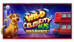 와일드 셀리버리티 버스