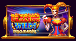 블레이징 와일드 메가웨이즈