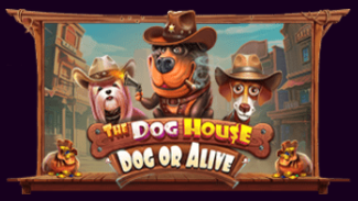 더 도그 하우스 - 도그 오어 얼라이브