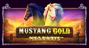 머스탱 골드 메가웨이즈