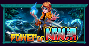파워 오브 닌자