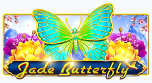 제이드 버터플라이