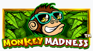 몽키 매드니스