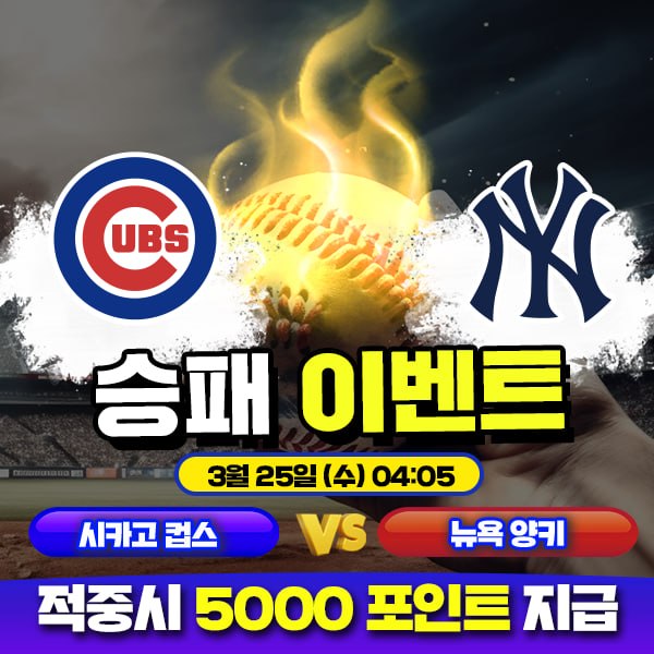 보증업체 댓글후기 이벤트