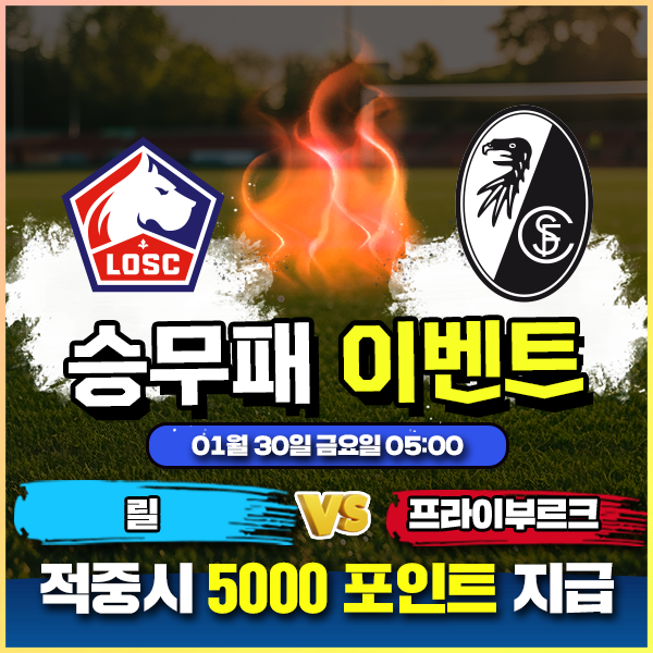 보증업체 댓글후기 이벤트